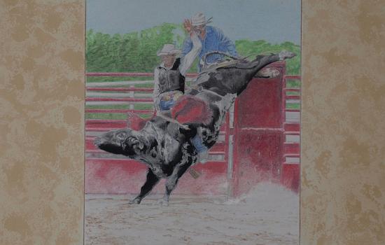 Bullrider